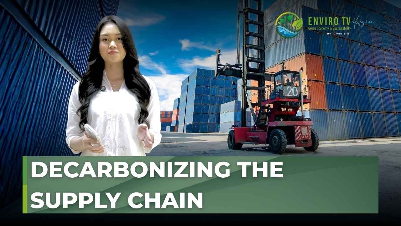 Project Cargo Success